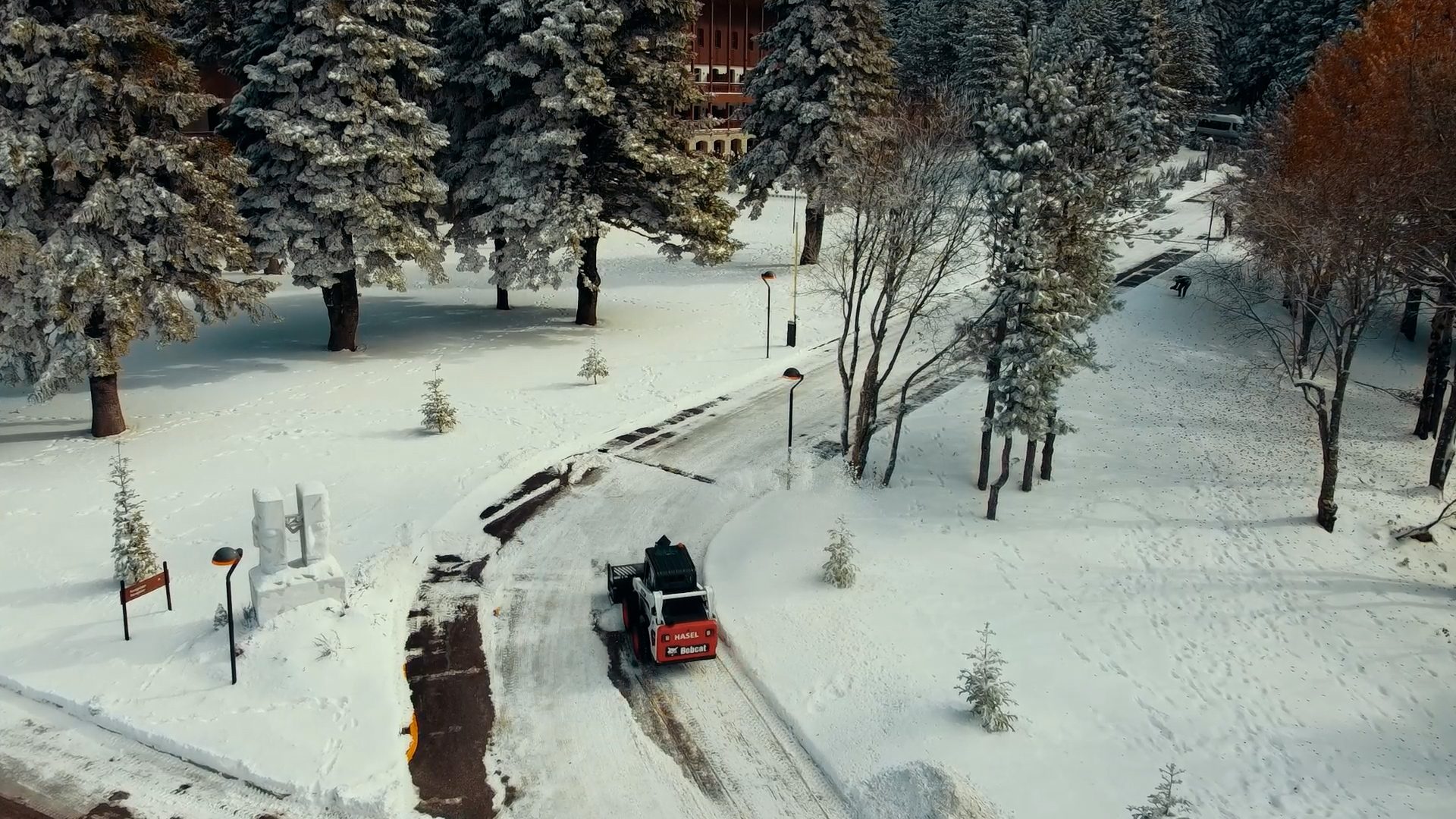 Snow, Tree, Vehicle, Slope, Plant, Freezing