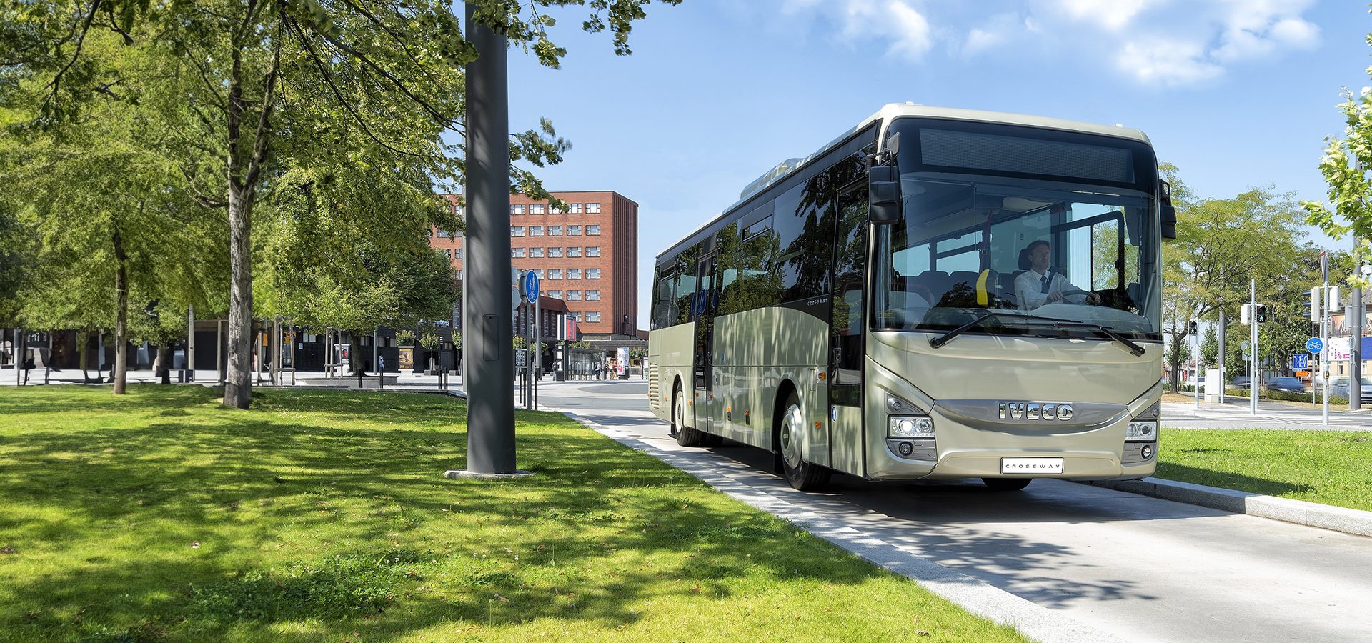Tour bus service, Automotive parking light, Motor vehicle, Tire, Sky, Plant, Wheel, Cloud