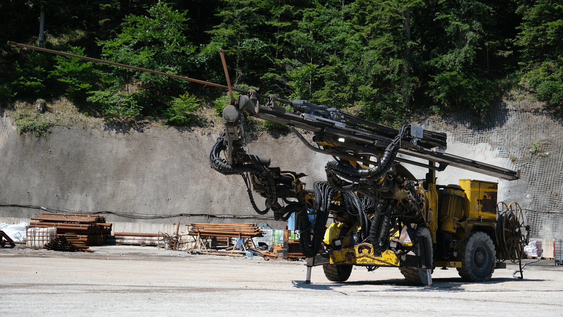 Motor vehicle, Automotive tire, Road surface, Wheel, Asphalt, Tree, Tread, Plant