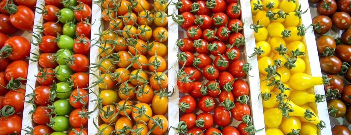 Natural foods, Whole food, Plum tomato, Public space, Plant, Fruit, Yellow, Ingredient