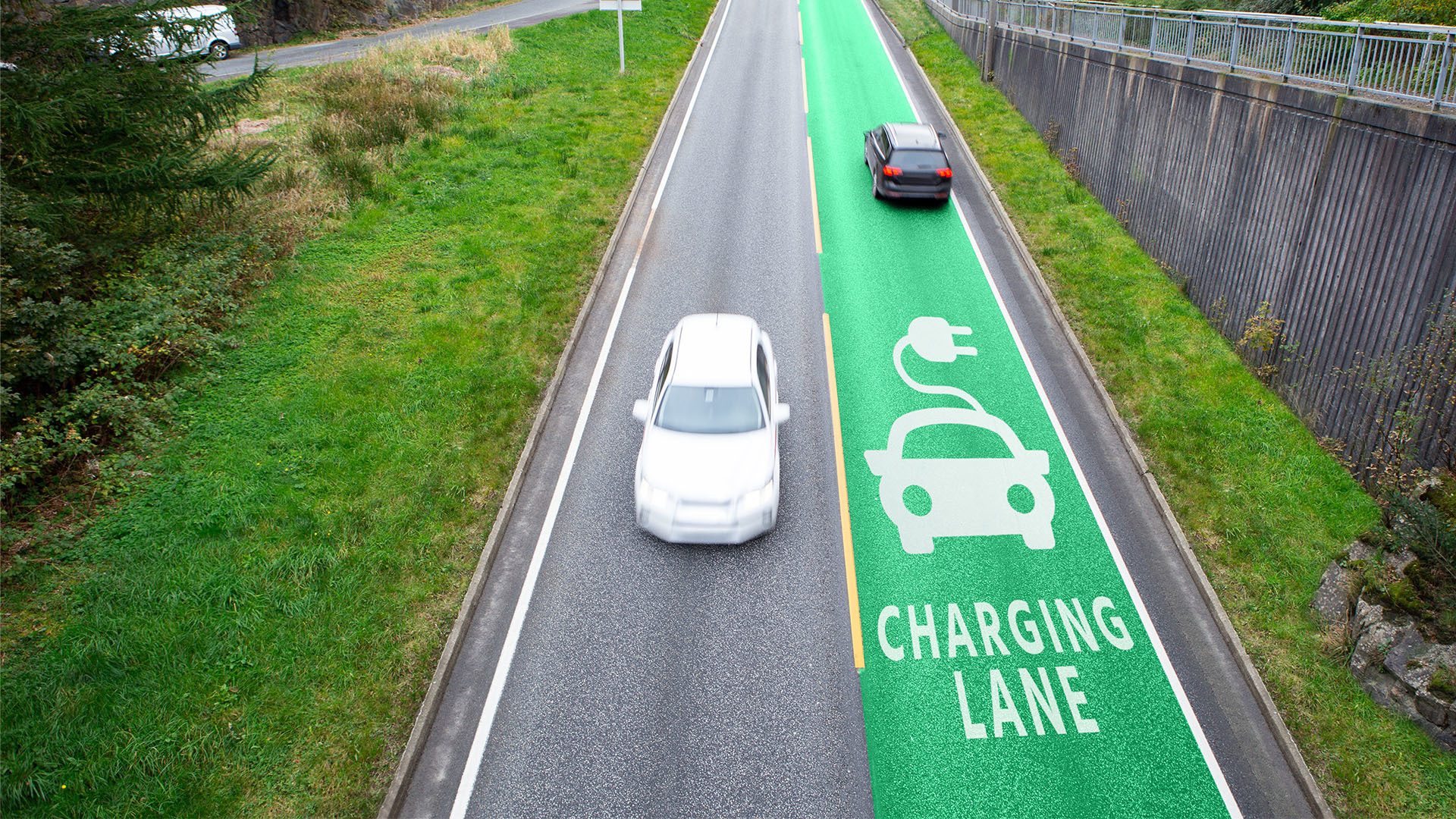 Vehicle registration plate, Road surface, Automotive design, Car, Plant, Green, Infrastructure, Asphalt