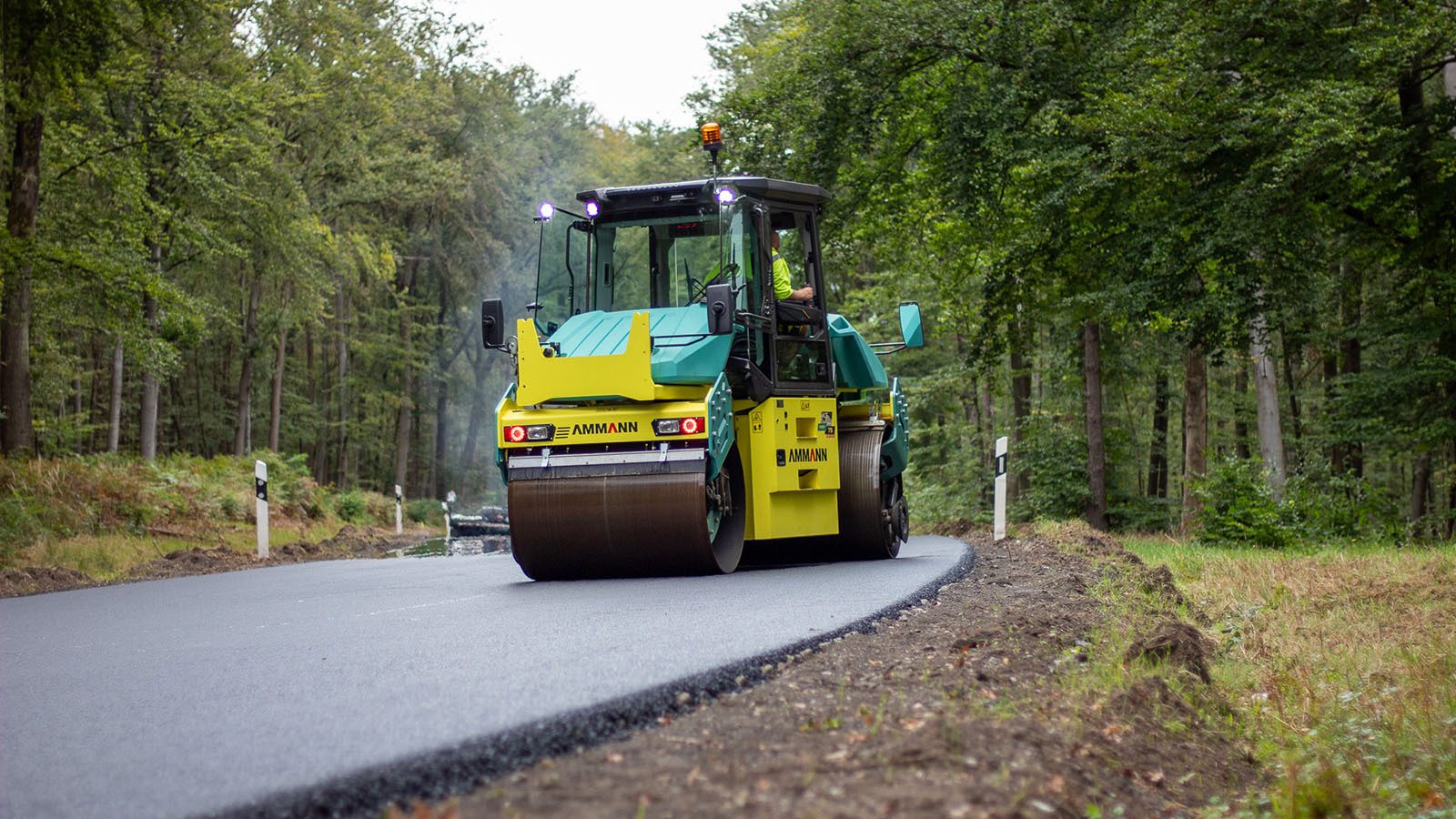 Motor vehicle, Road surface, Automotive tire, Wheel, Plant, Tree, Asphalt, Rolling