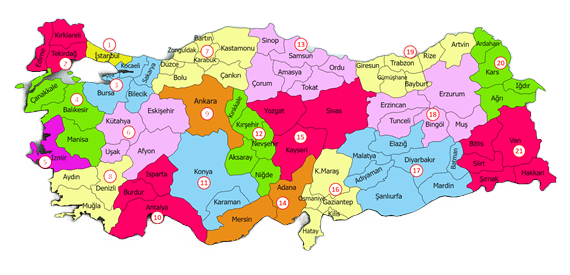 Ecoregion, Map, World, Organism, Line