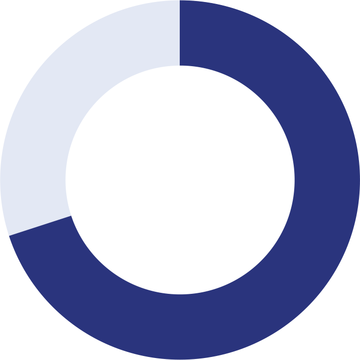 Donut chart showing 70% navy blue.