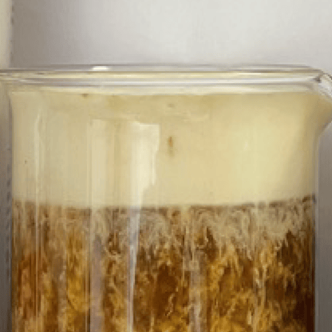 Closeup of curdling on milk containing no enzymes