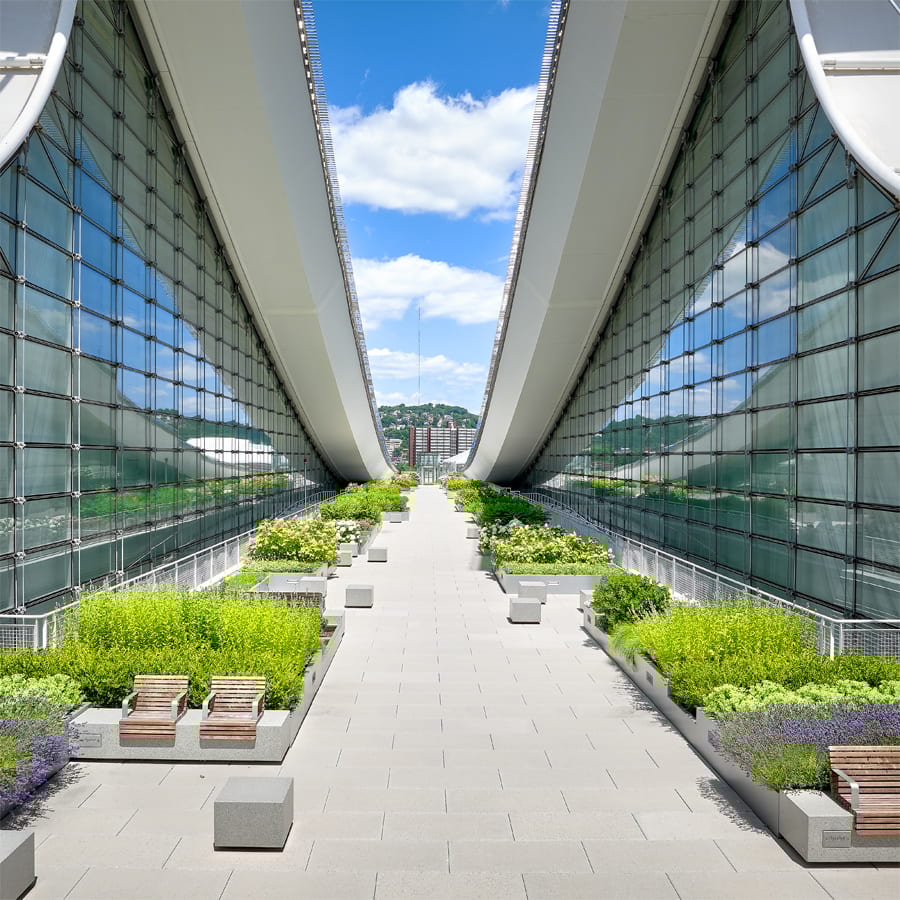 Plant lined walkway at the Lawrence Convention Center