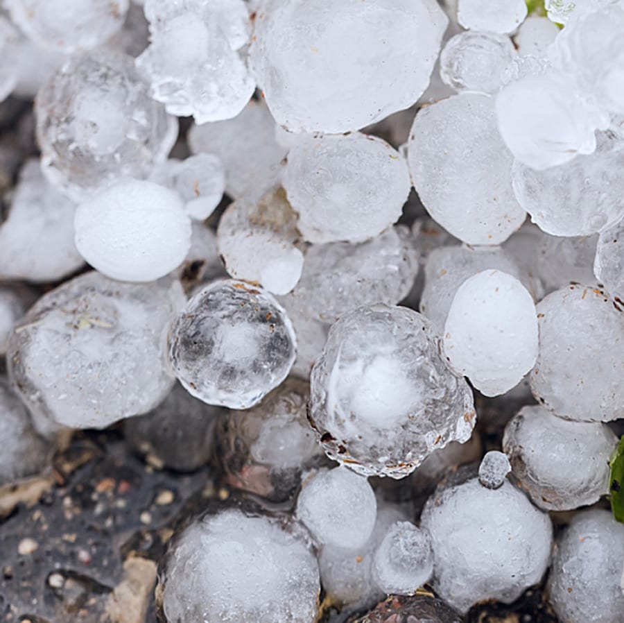 closeup photo of large round pieces of hail