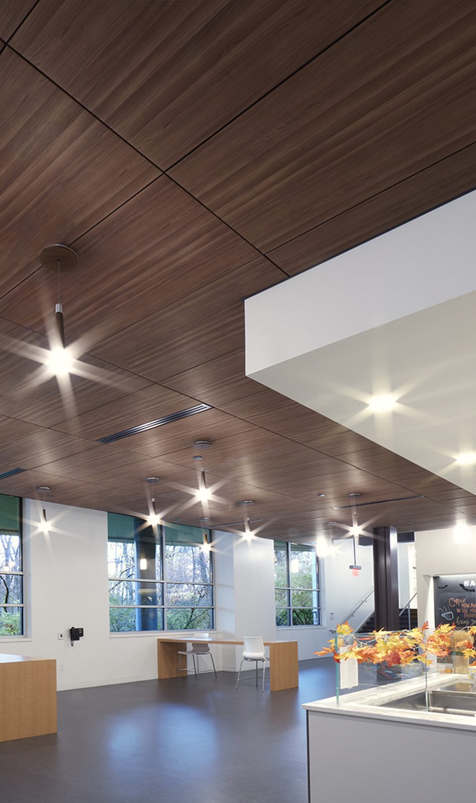 Admin building interior featuring dark wood finish ceiling system.