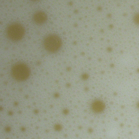 Closeup of poor foam retention using no enzymes