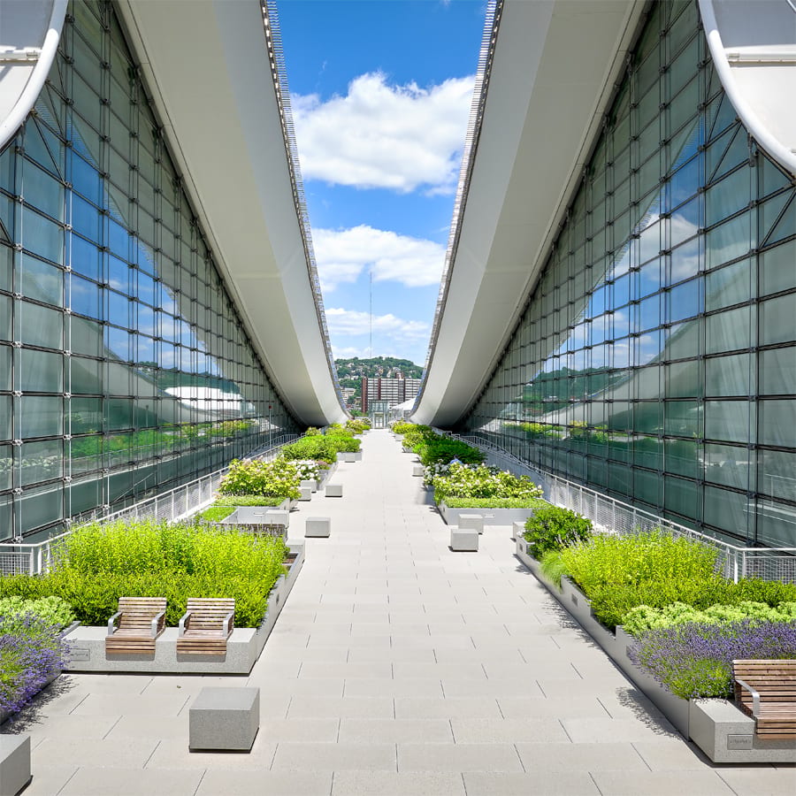 David L. Lawrence Convention Center green roof space.