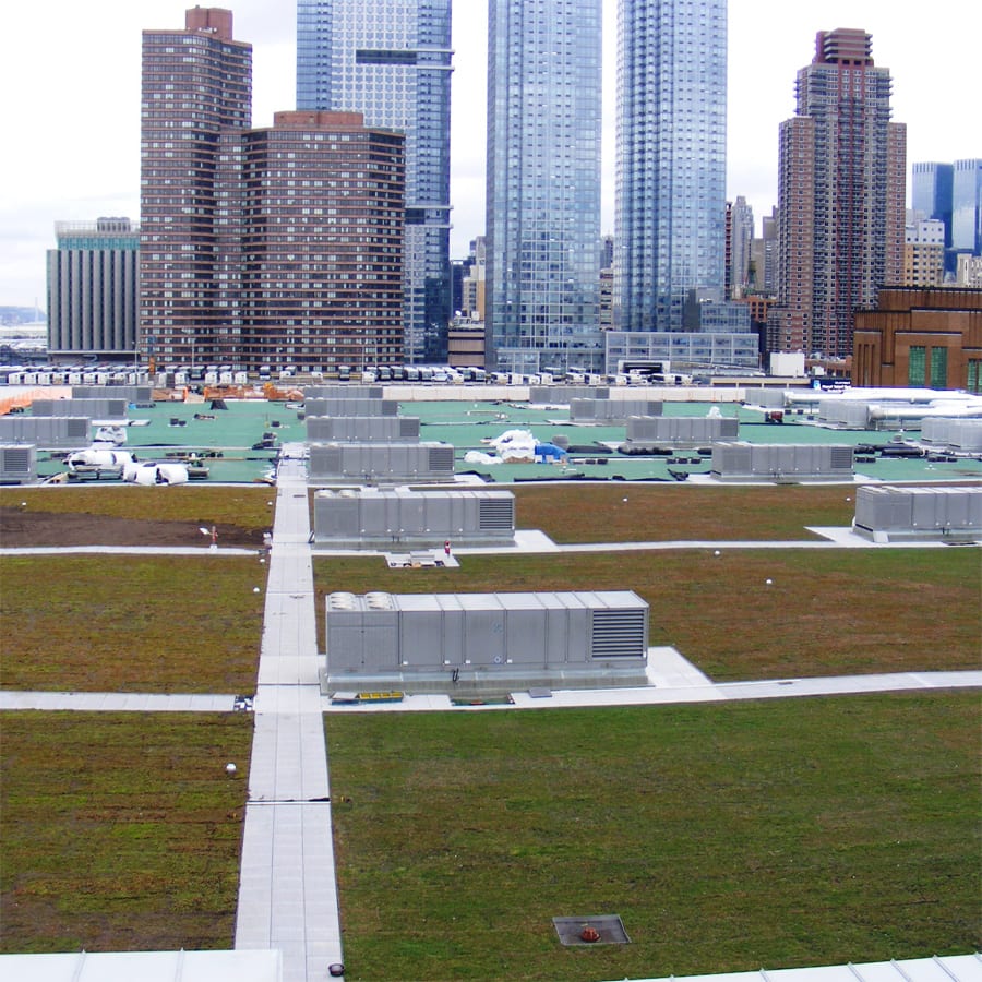 Green roof on Jacob Javits Center