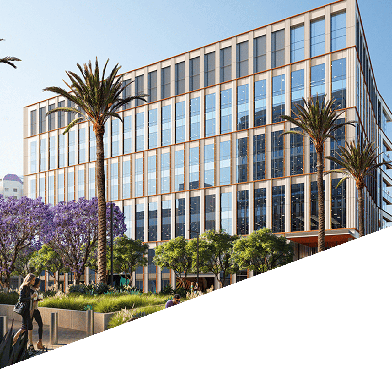 Modern, luxurious office building on a coastal campus surrounded by palm trees