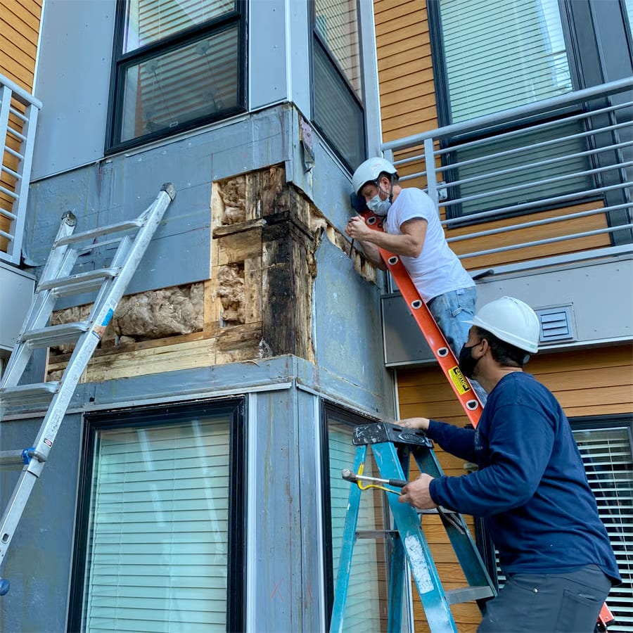 Two workers in hard hards on ladders inspecting moisture damage on a building.