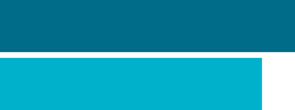two blue bar chart