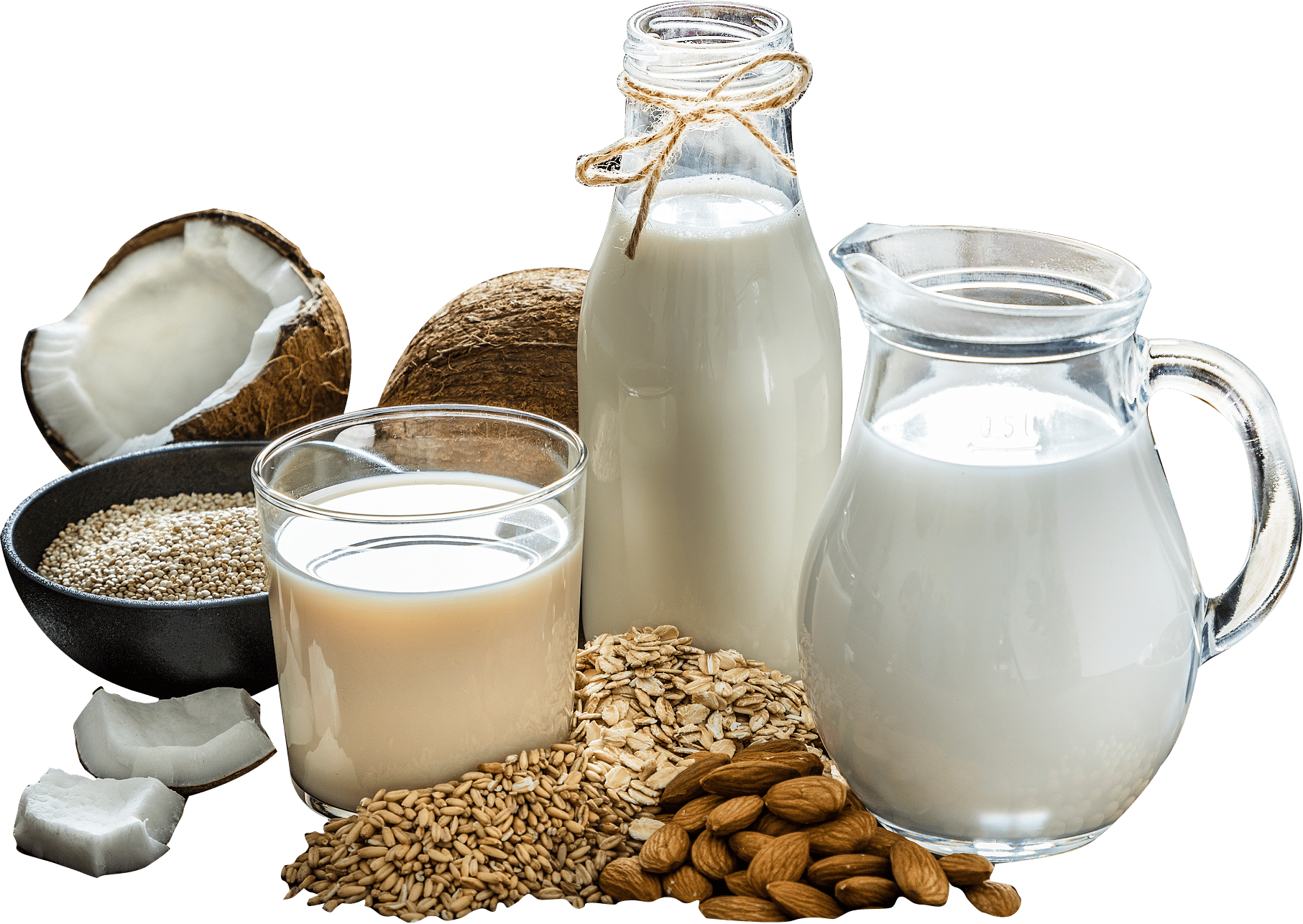 group of plant-based milks and their primary ingredients
