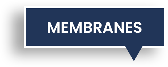 deep blue photo callout for MEMBRANES