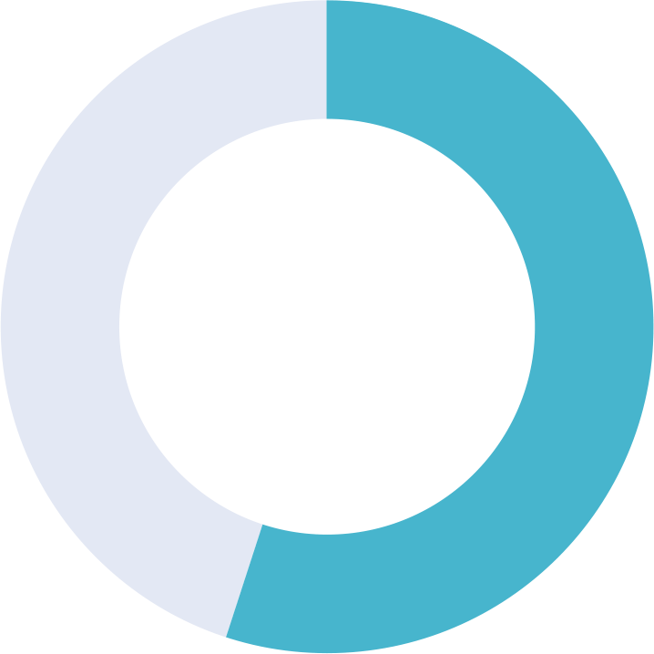 Donut chart showing 55% turquoise blue.