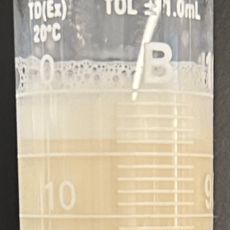 Closeup of milk with thick layer of dense, smooth foam containing enzymes