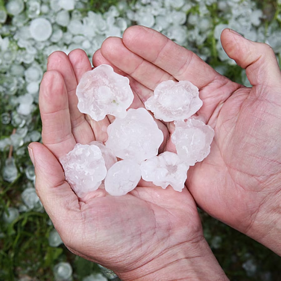 closeup of two hands cupping large hail nuggets