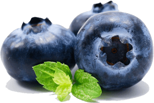 group of three blueberries with a sprig of mint closeup