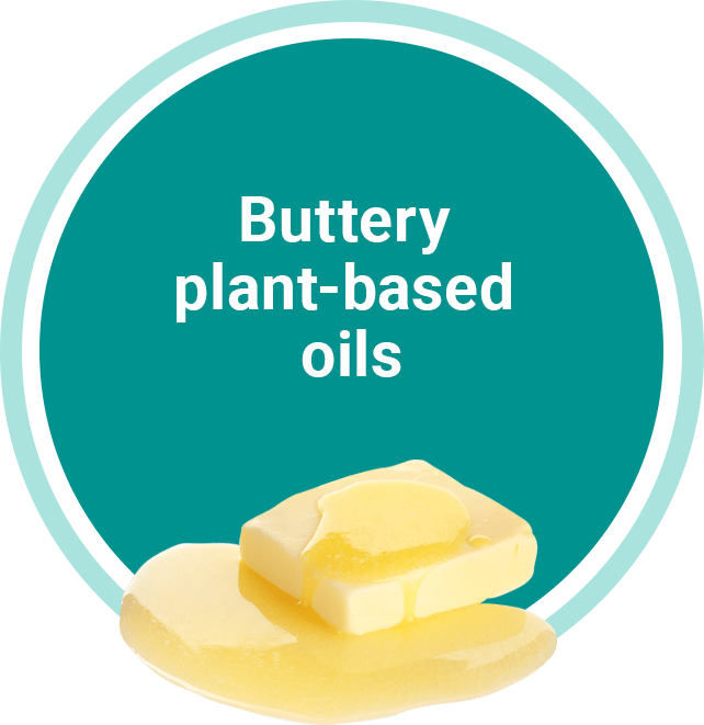 graphic of pat of buttery plant-based oil over an aqua circle
