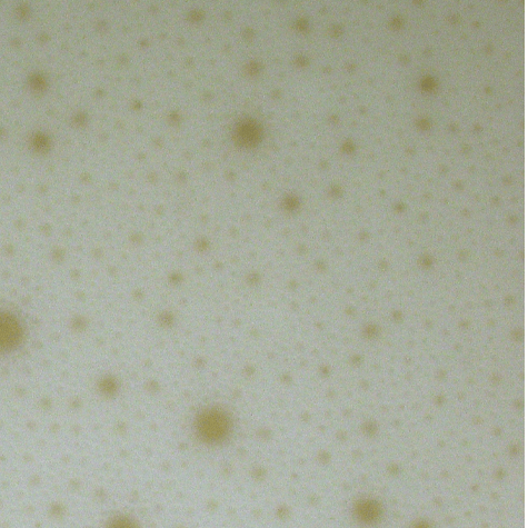 Closeup of excellent foam retention using enzymes