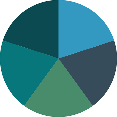 A pie chart divided into five segments in shades of blue and green.