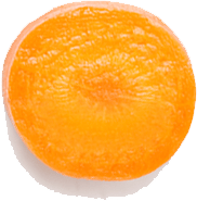 single slice of carrot closeup