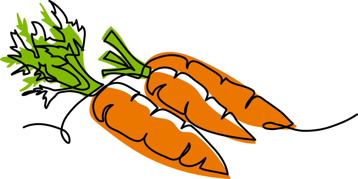 carrot sketch