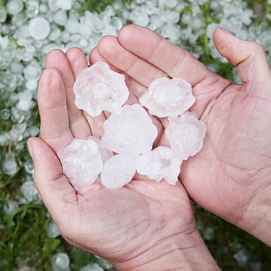 Closeup photo of large round pieces of hail.