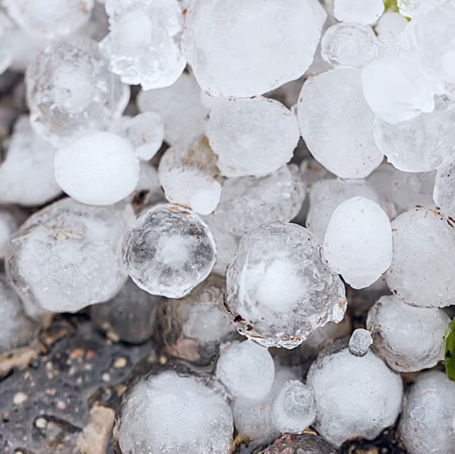 Closeup photo of large round pieces of hail.