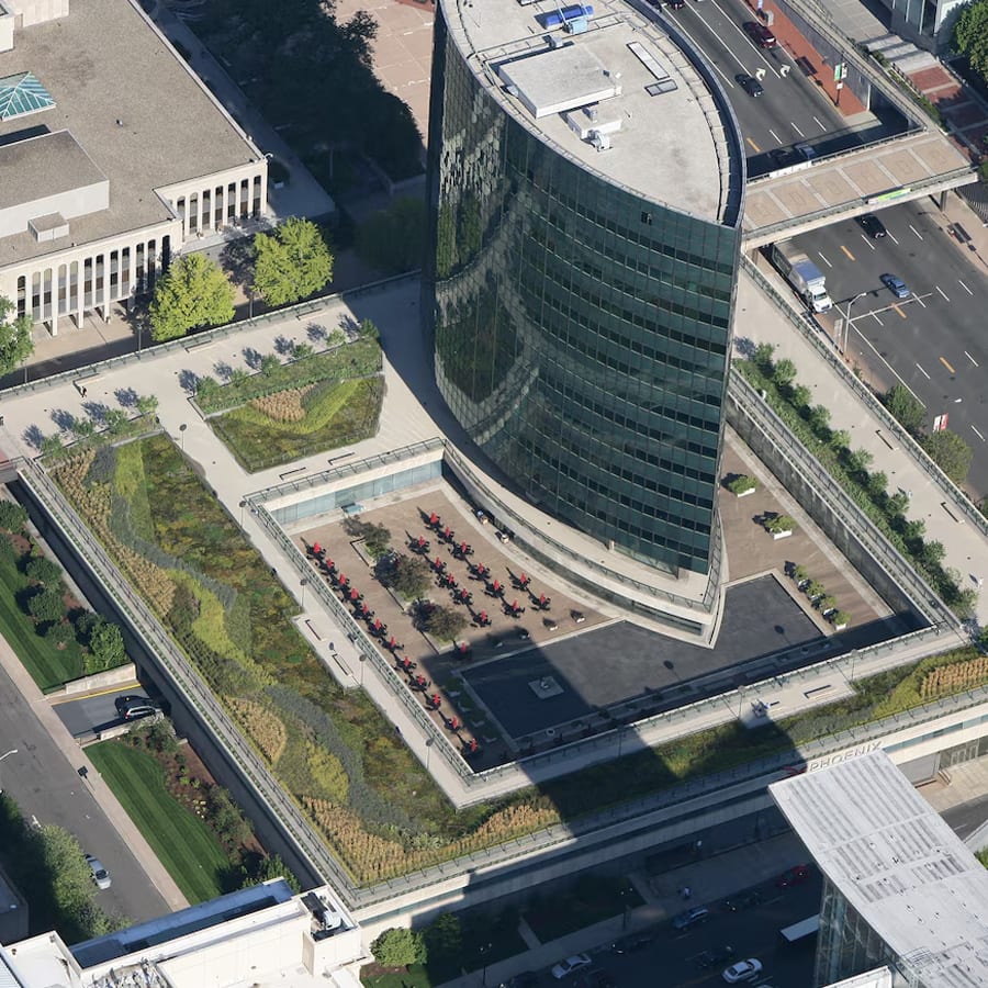 Urban green rooftop garden with trees, bushes, shrubs in the city.