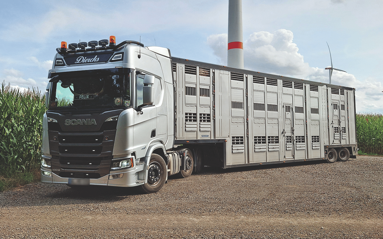 Silver Scania truck with livestock trailer on a gravel road, cornfield and wind turbines in background.