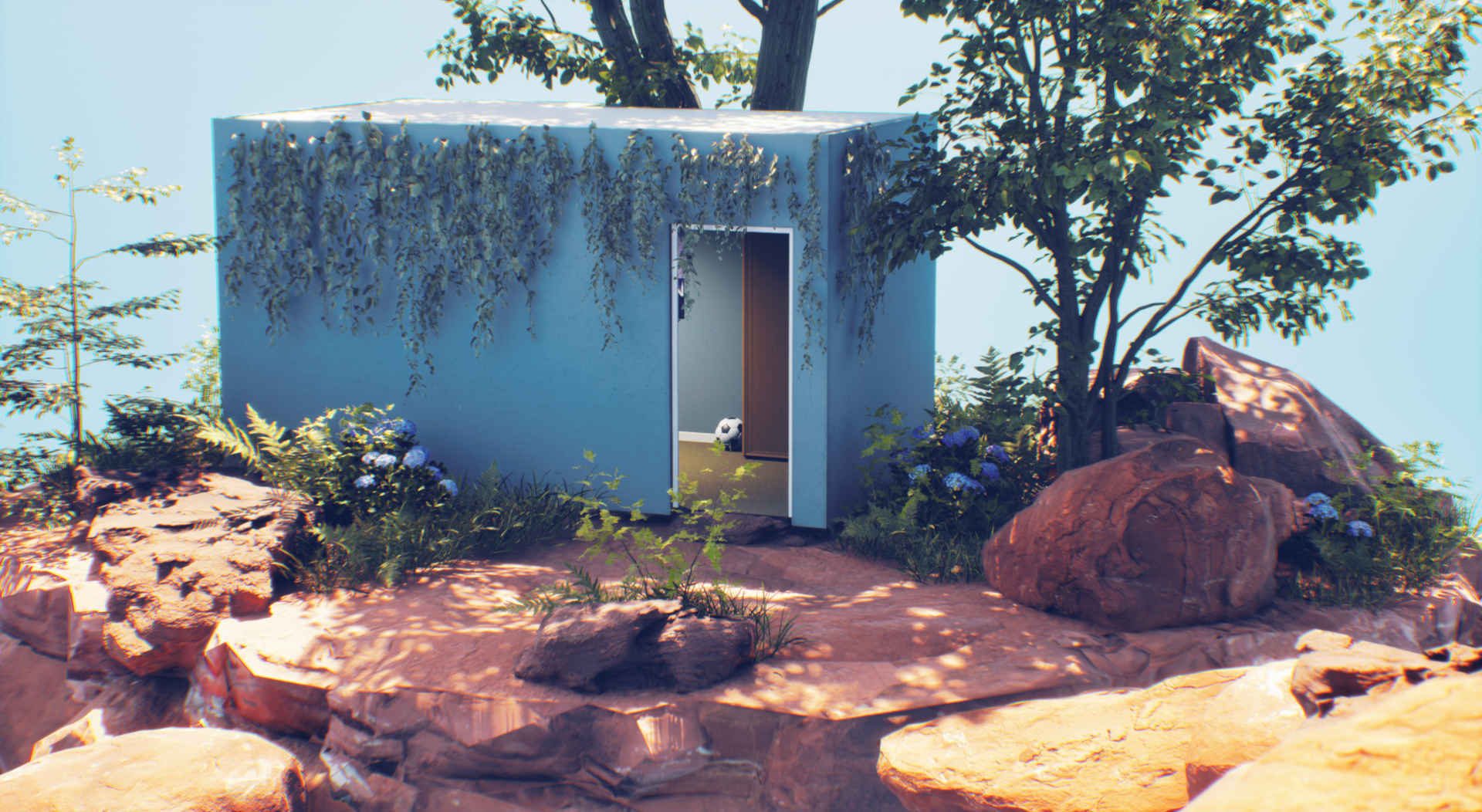 Vegetation