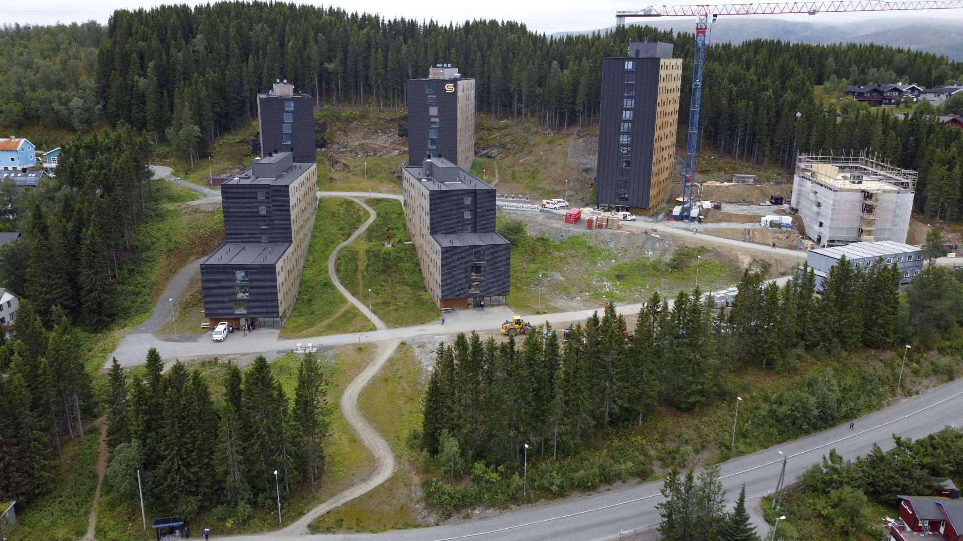 Modern dark buildings and construction amidst a dense forest.