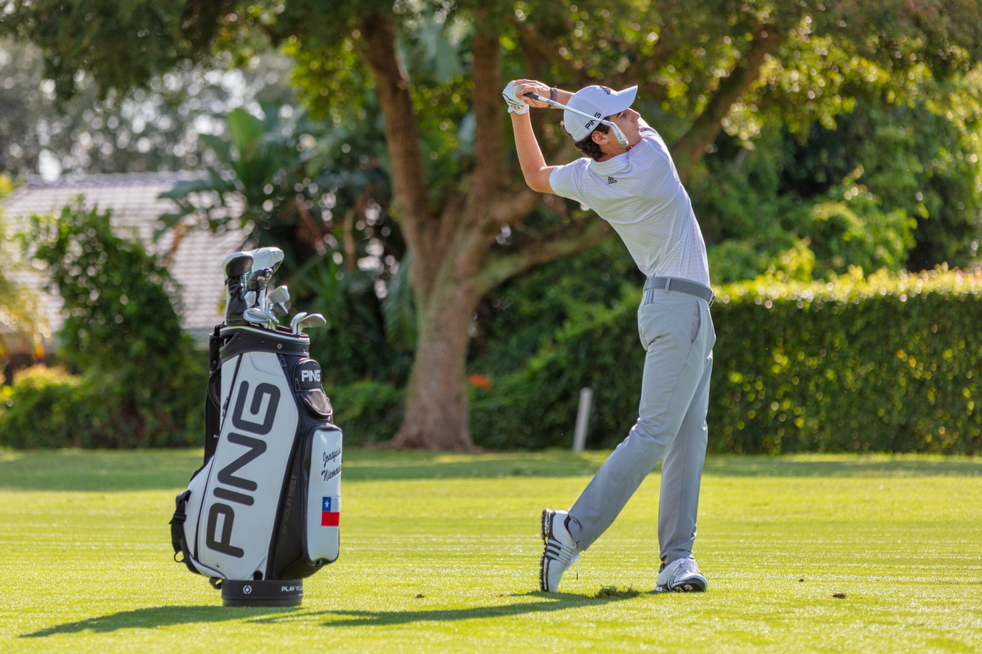 Joaqu&#xED;n Niemann, Sports equipment, Shoe, Plant, Player, Gesture, Golf, PGA