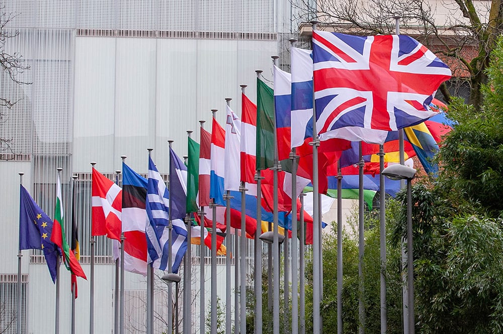 Daytime, Flag, Plant, Tree, World, Line