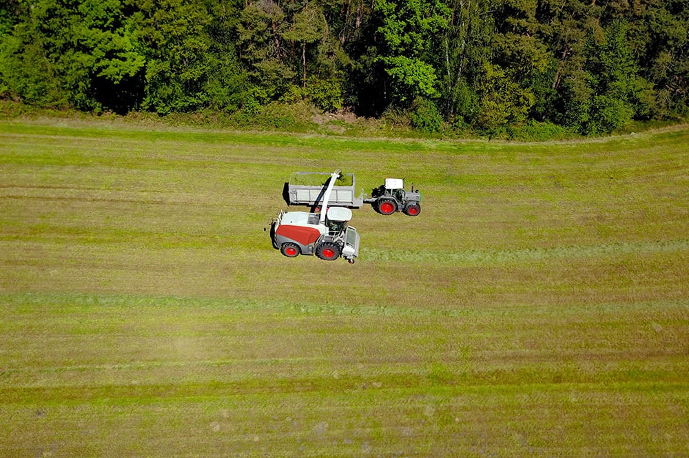 Land lot, Plant, Vehicle, Tree