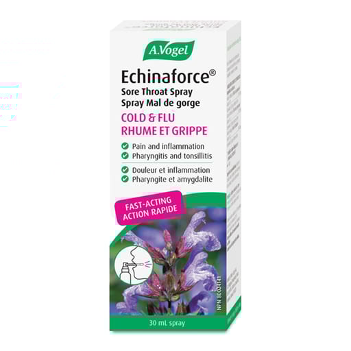 Terrestrial plant, Font