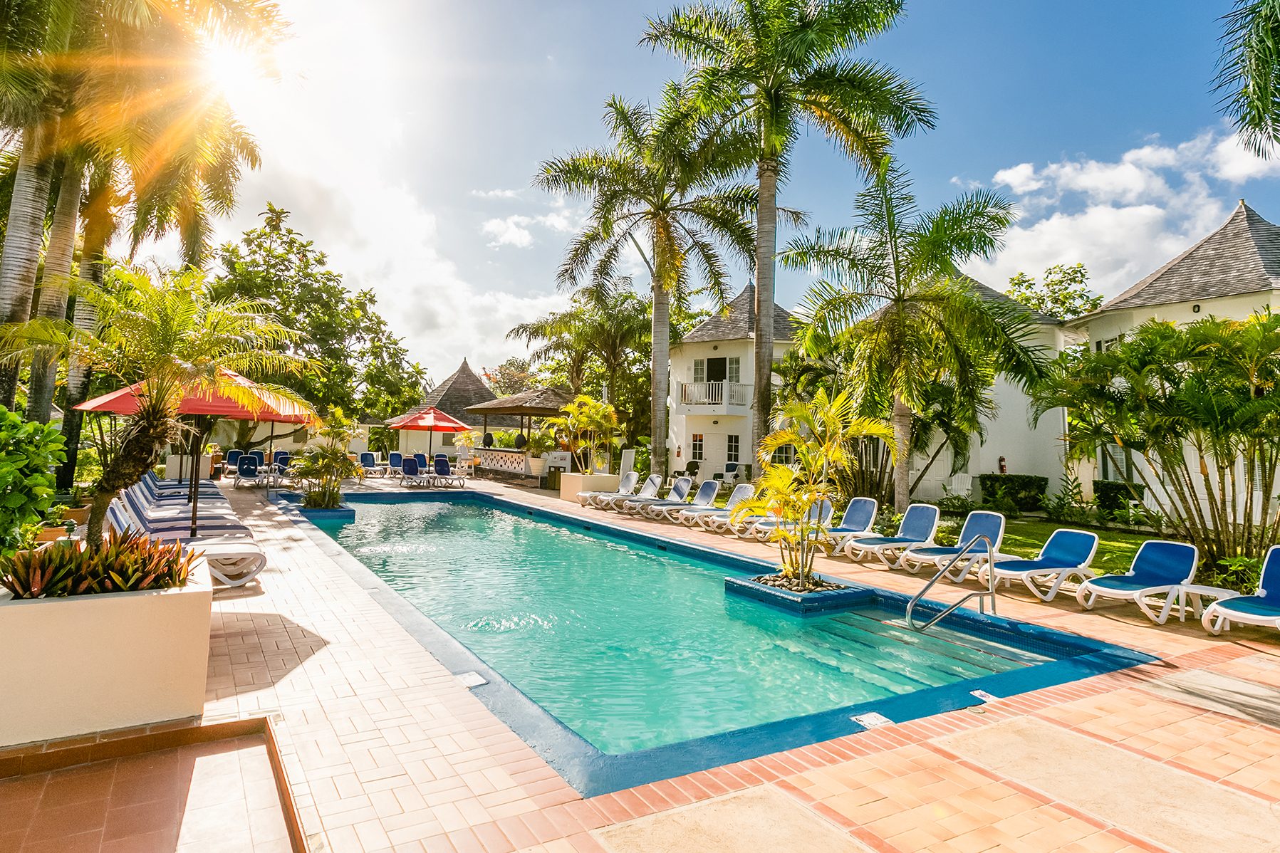 Swimming pool, Eco hotel, Tree, Resort