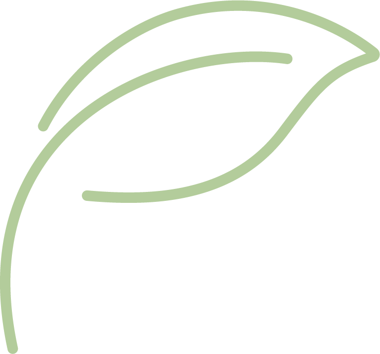 Eye, Plant