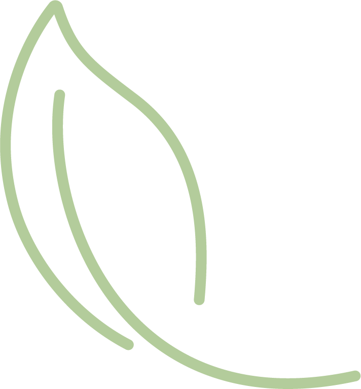 Plant, Font