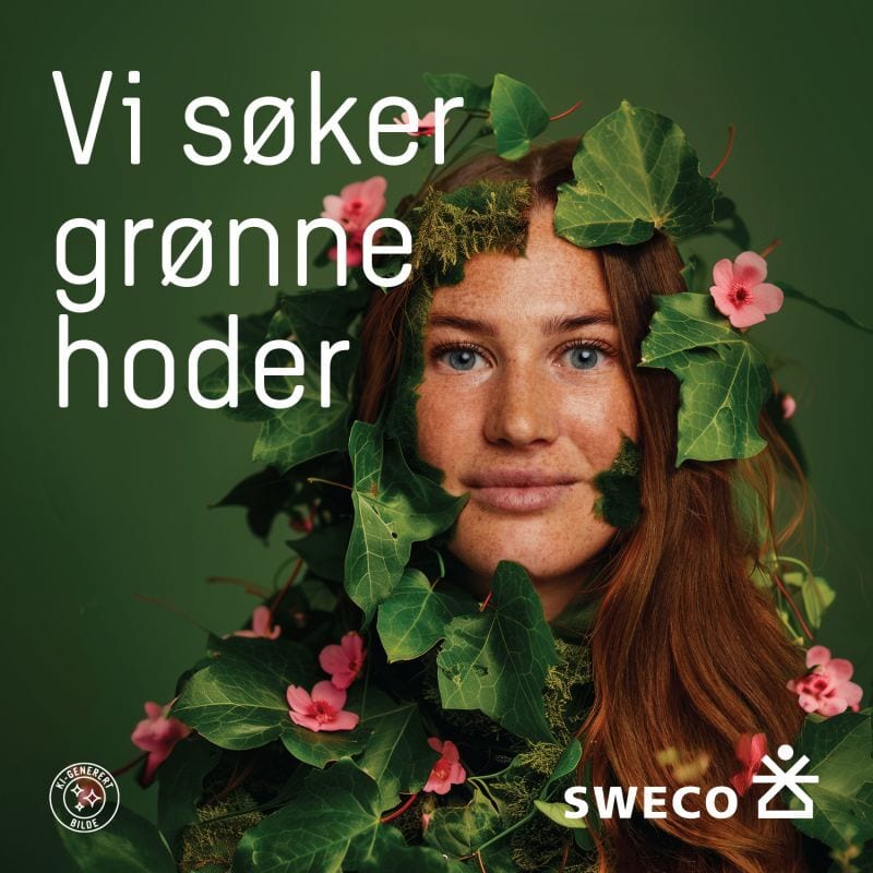 A woman with leaves and pink flowers on her face. Text: "We seek green minds". Sweco logo. Green background.