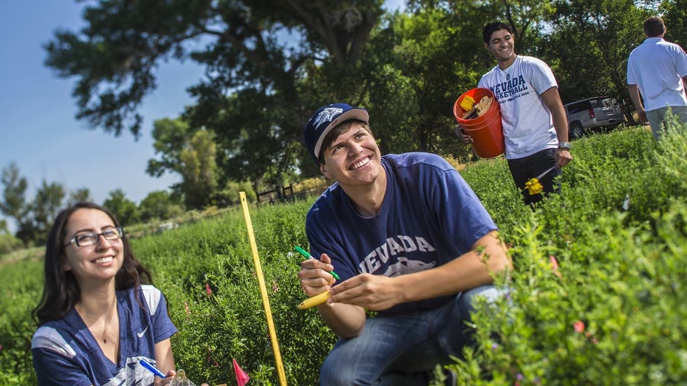 People in nature, Smile, Plant, Leaf, Tree, Happy, Leisure, Grass