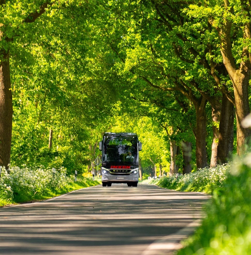 A silver tour bus drives down a sun-dappled road, flanked by lush green trees and white wildflowers in bloom.