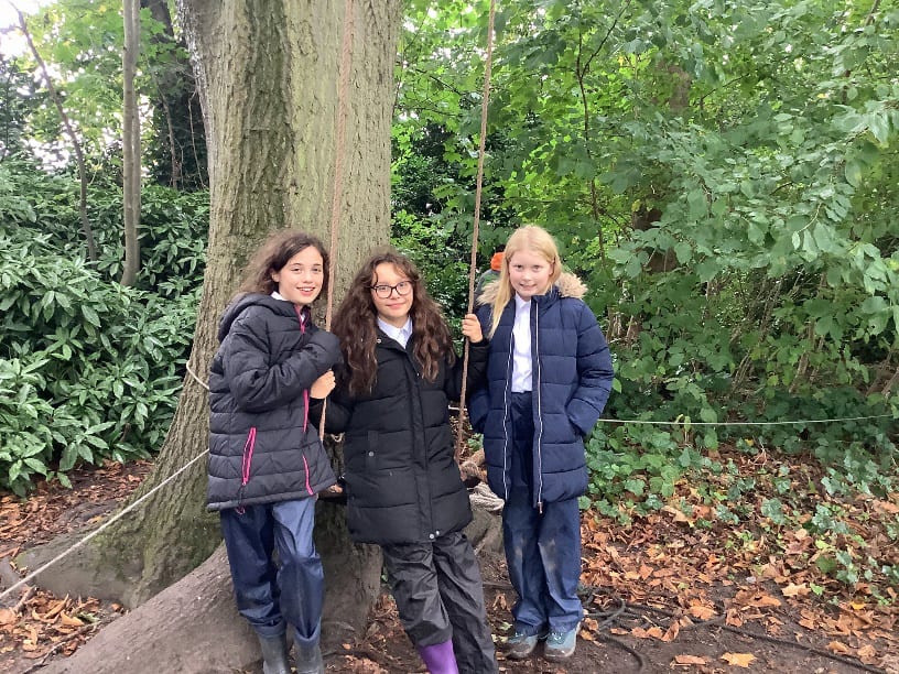 People in nature, Natural landscape, Woody plant, Trousers, Smile, Tree, Wood