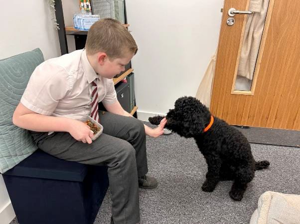 Water dog, Carnivore