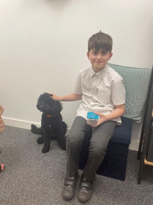 Dog breed, Shoe, Leg, Knee, Floor, Smile, Shorts