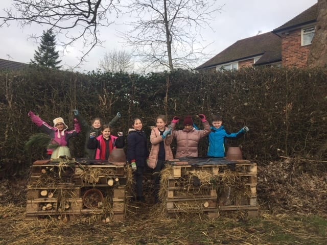 Natural landscape, Woody plant, Sky, Window, Wood, Grass, Tree