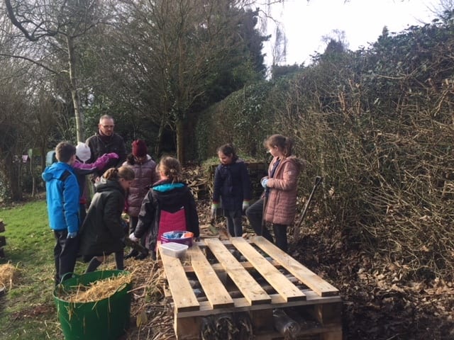 People in nature, Plant community, Natural landscape, Tree, Wood, Leisure